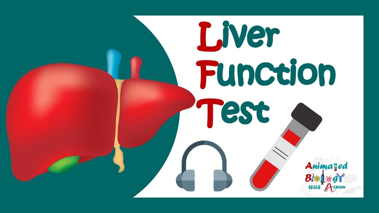 Liver Function Test