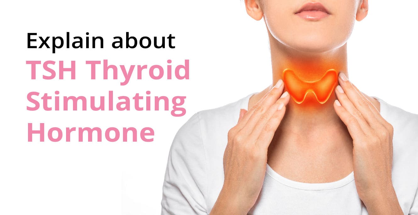 Thyroid-Stimulating Hormone (TSH)